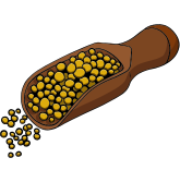 NMustard-Seedso-Pest